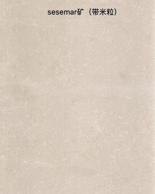 微信圖片_20230510145022.jpg