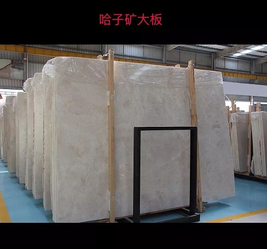 微信圖片_20230510145107.jpg