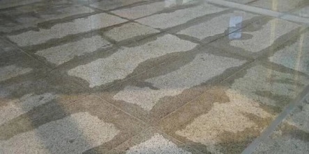 微信圖片_20230826143616_1.jpg