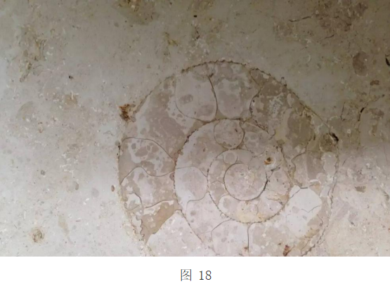 微信圖片_20231004114739.png