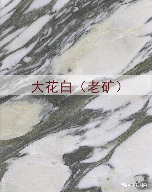 微信圖片_20231008085502.jpg 微信圖片_20231008085502.jpg