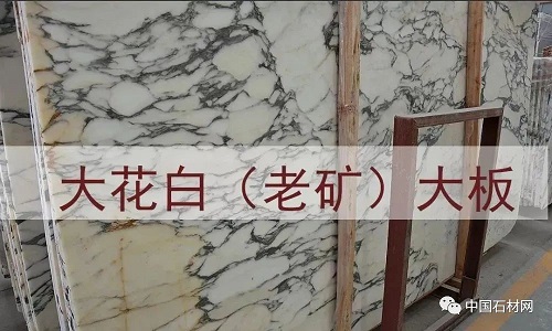 微信圖片_20231008085508.jpg 微信圖片_20231008085508.jpg