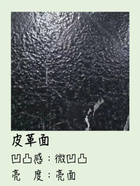 微信圖片_20231019091242.jpg
