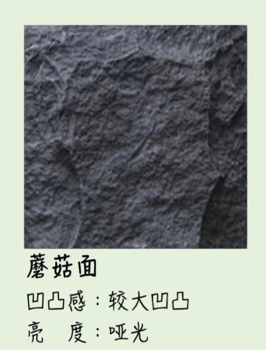 微信圖片_20231019091259.jpg