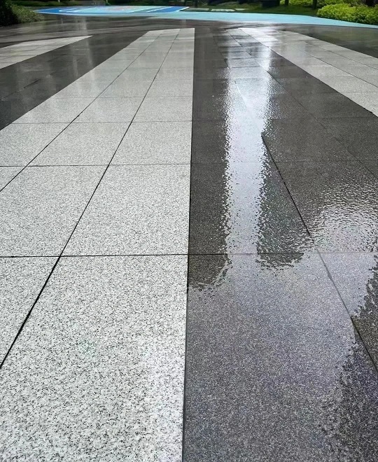 微信圖片_20231031144348.jpg