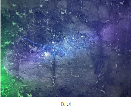 微信圖片_20231127113244.png