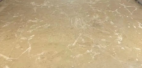 微信圖片_20231211144336.jpg