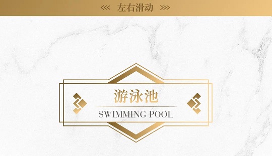 微信圖片_20240313144751.jpg