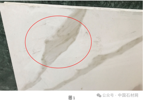 微信圖片_20240523114958.png