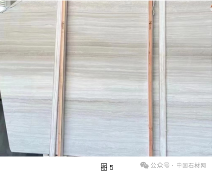 微信圖片_20240601115040.png