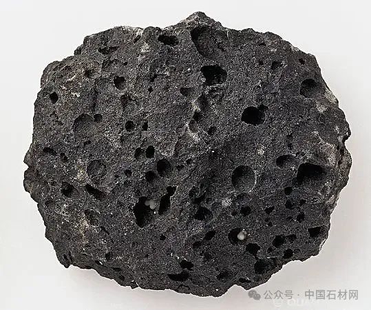微信圖片_20240606144705.jpg