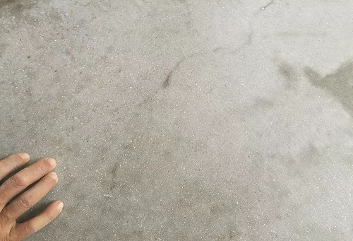 微信圖片_20240621085213.png