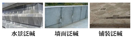 微信圖片_20240624084501.jpg