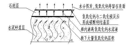 微信圖片_20240628145606.png