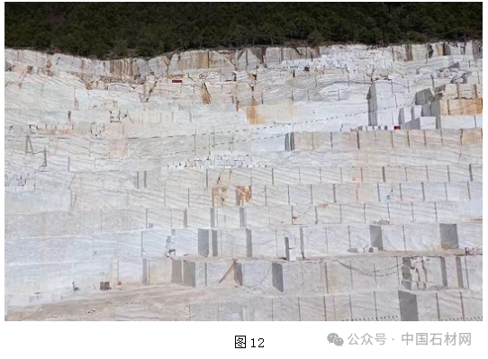 微信圖片_20240711092617.png