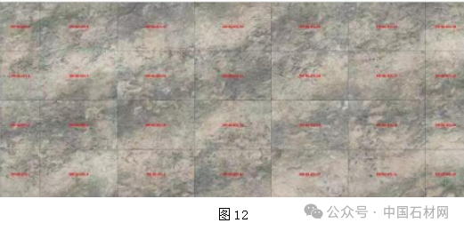 微信圖片_20240724085819.png