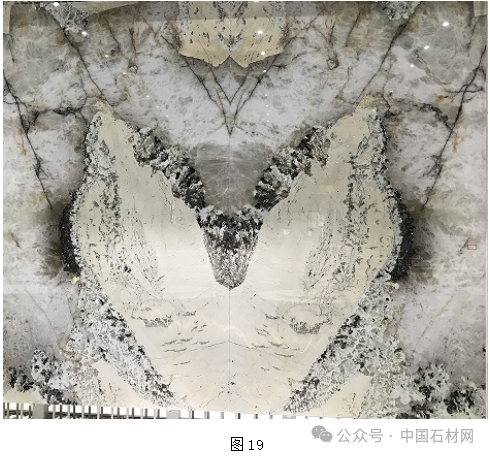 微信圖片_20240724085836.png