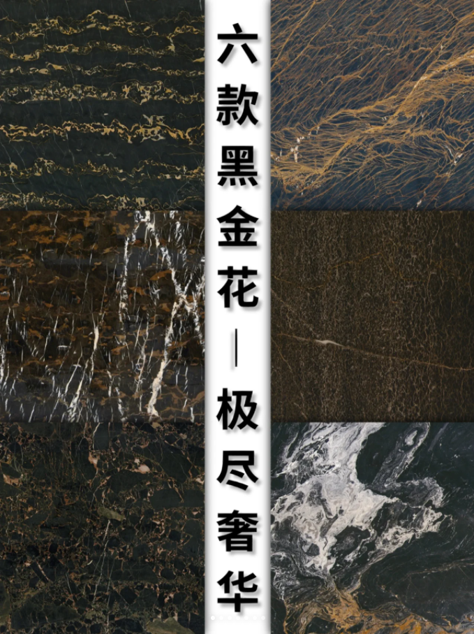 微信圖片_20240808145318.png