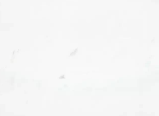 微信圖片_20240816090042.png