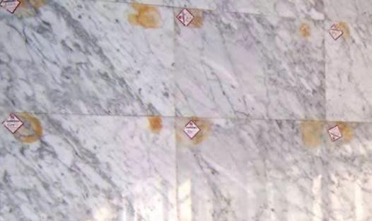 微信圖片_20240816090646.png