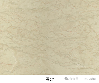 微信圖片_20240822114858.png