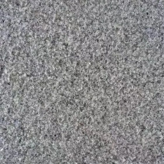 微信圖片_20240918092644.jpg
