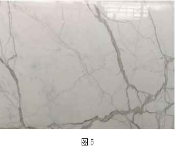 微信圖片_20241006092216.png