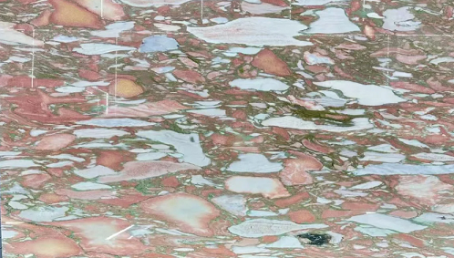微信圖片_20241105090201.png