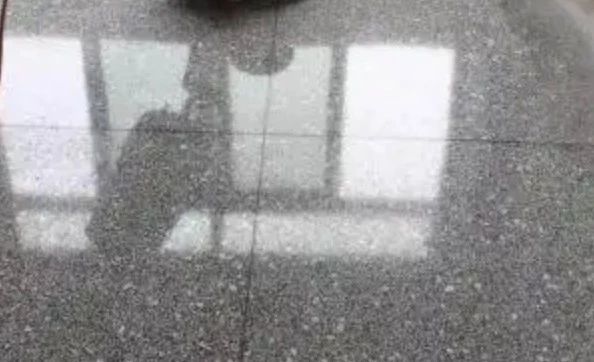 微信圖片_20241214092059.jpg
