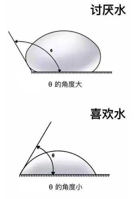 微信圖片_20241225145644.jpg