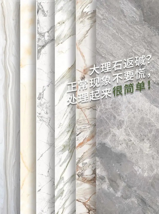 微信圖片_20241228090006.jpg