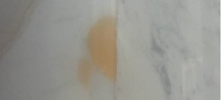 微信圖片_20250106092323.png