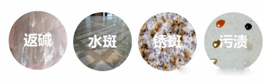 微信圖片_20250110145728.jpg