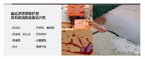微信圖片_20250110145804.jpg