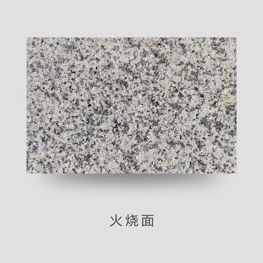微信圖片_20250210115410.png
