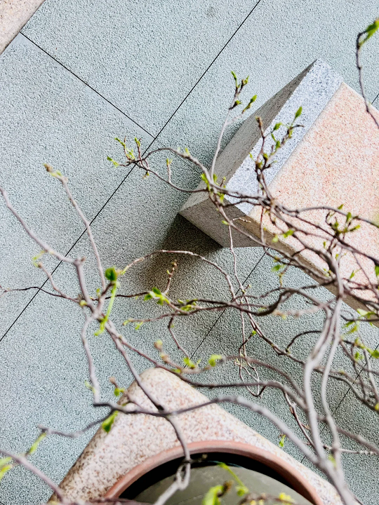 微信圖片_20250210115412.png