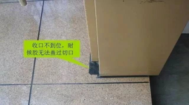 微信圖片_20250211151422.jpg