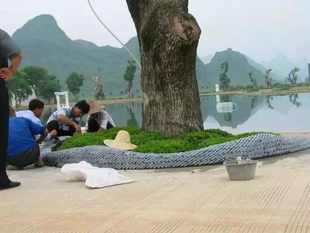 微信圖片_20250211153159.jpg