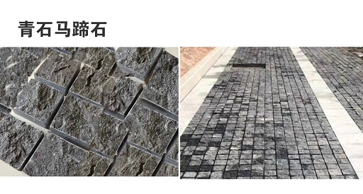微信圖片_20250212085147.jpg