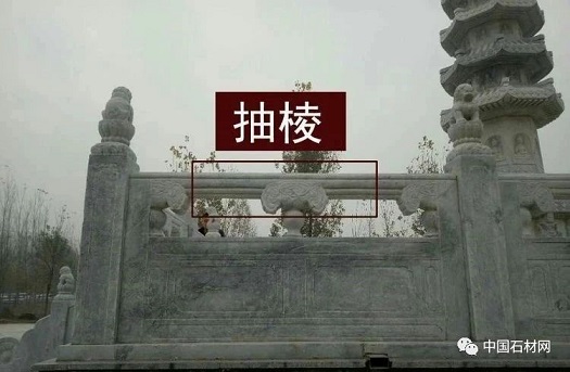 微信圖片_20250218150556.jpg