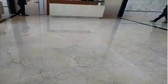 微信圖片_20250224085841.jpg