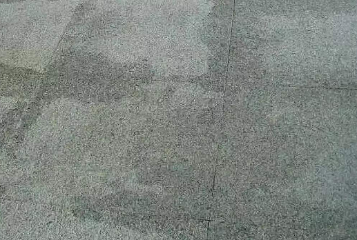 微信圖片_20250306100520.png