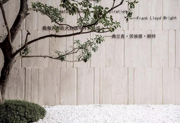 微信圖片_20250308090316.png