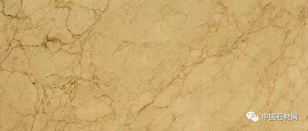 微信圖片_20250308143657.png