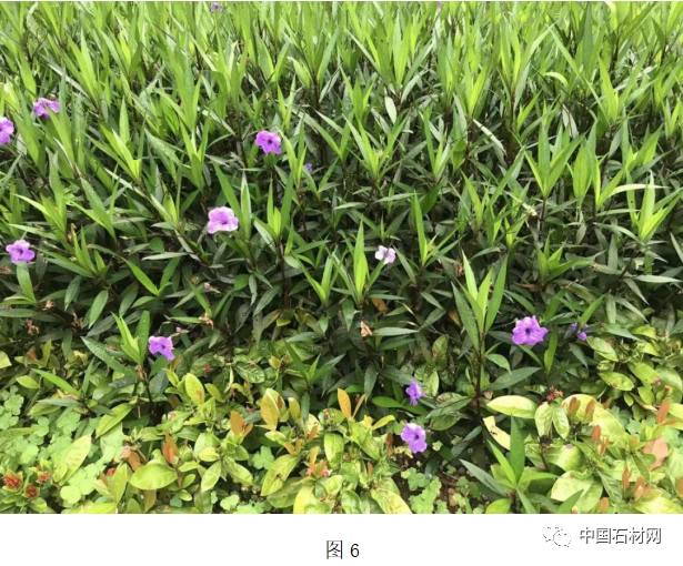 微信圖片_20250401114535.png