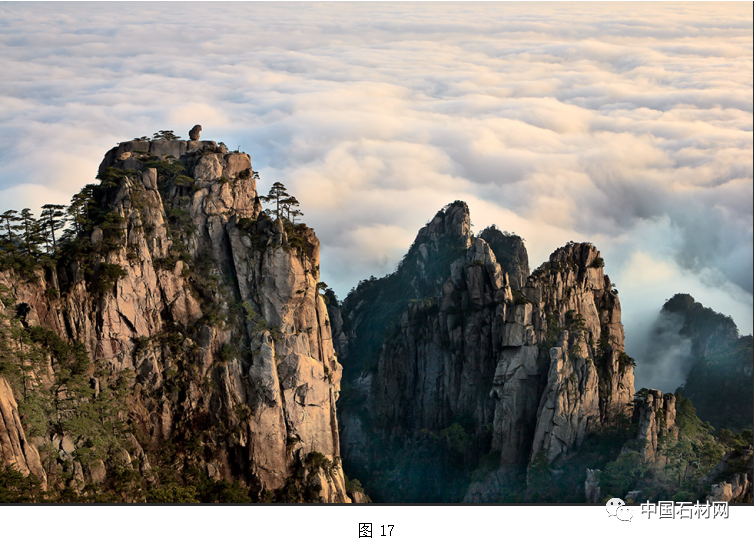 微信圖片_20250401114558.png