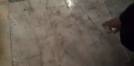微信圖片_20250411090636.jpg