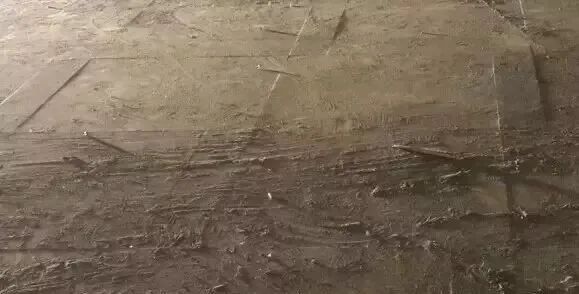 微信圖片_20250411090656.jpg