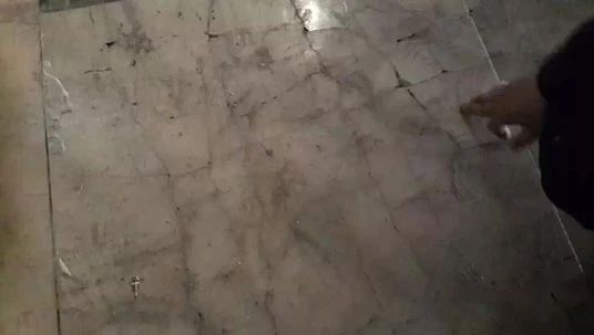 微信圖片_20250429090807.jpg