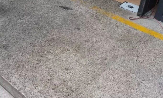 微信圖片_20250509090343.jpg
